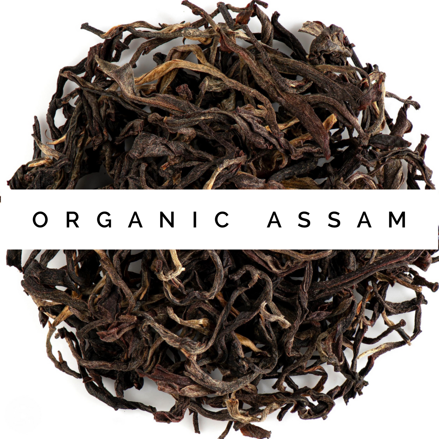 Organic Assam