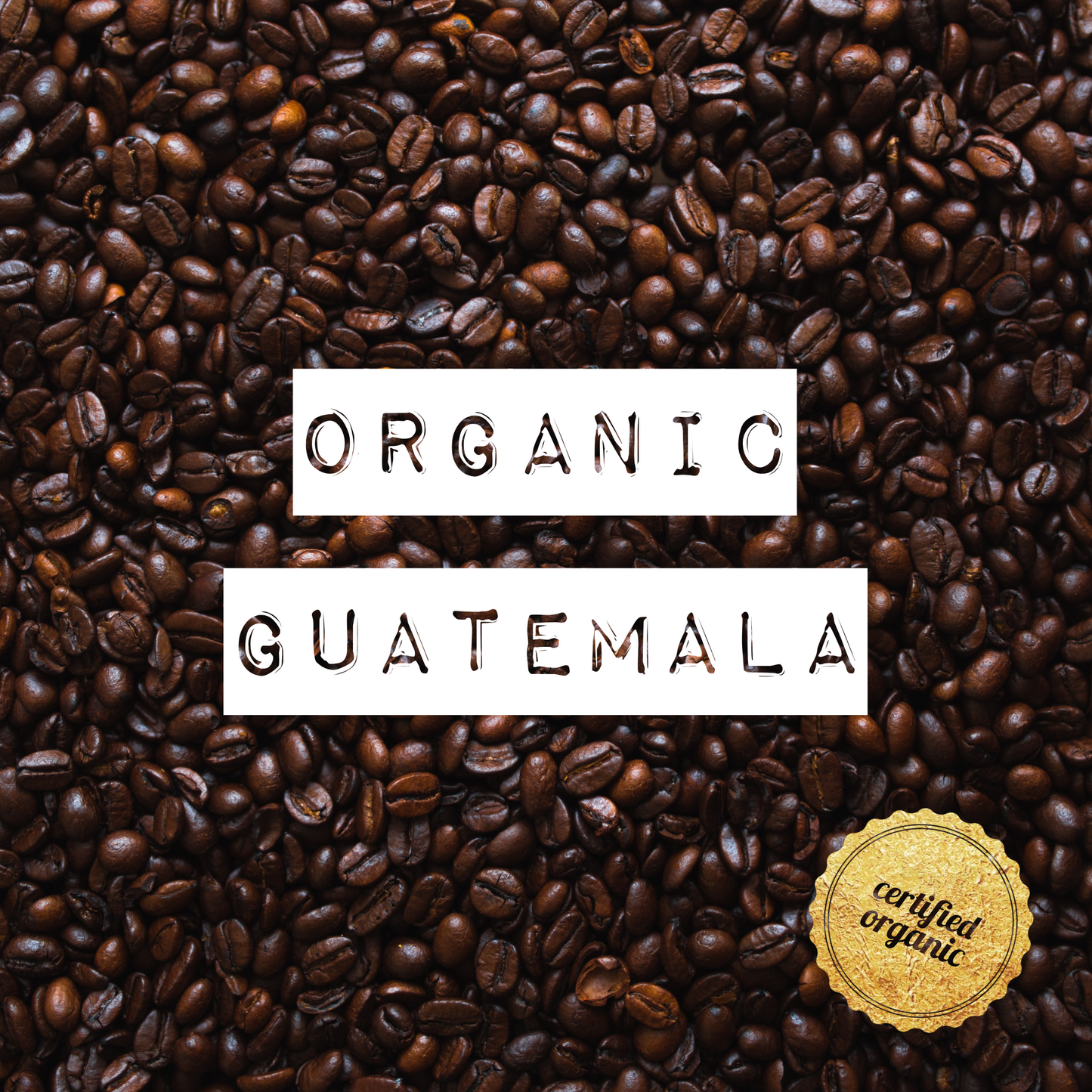 Organic Guatemala