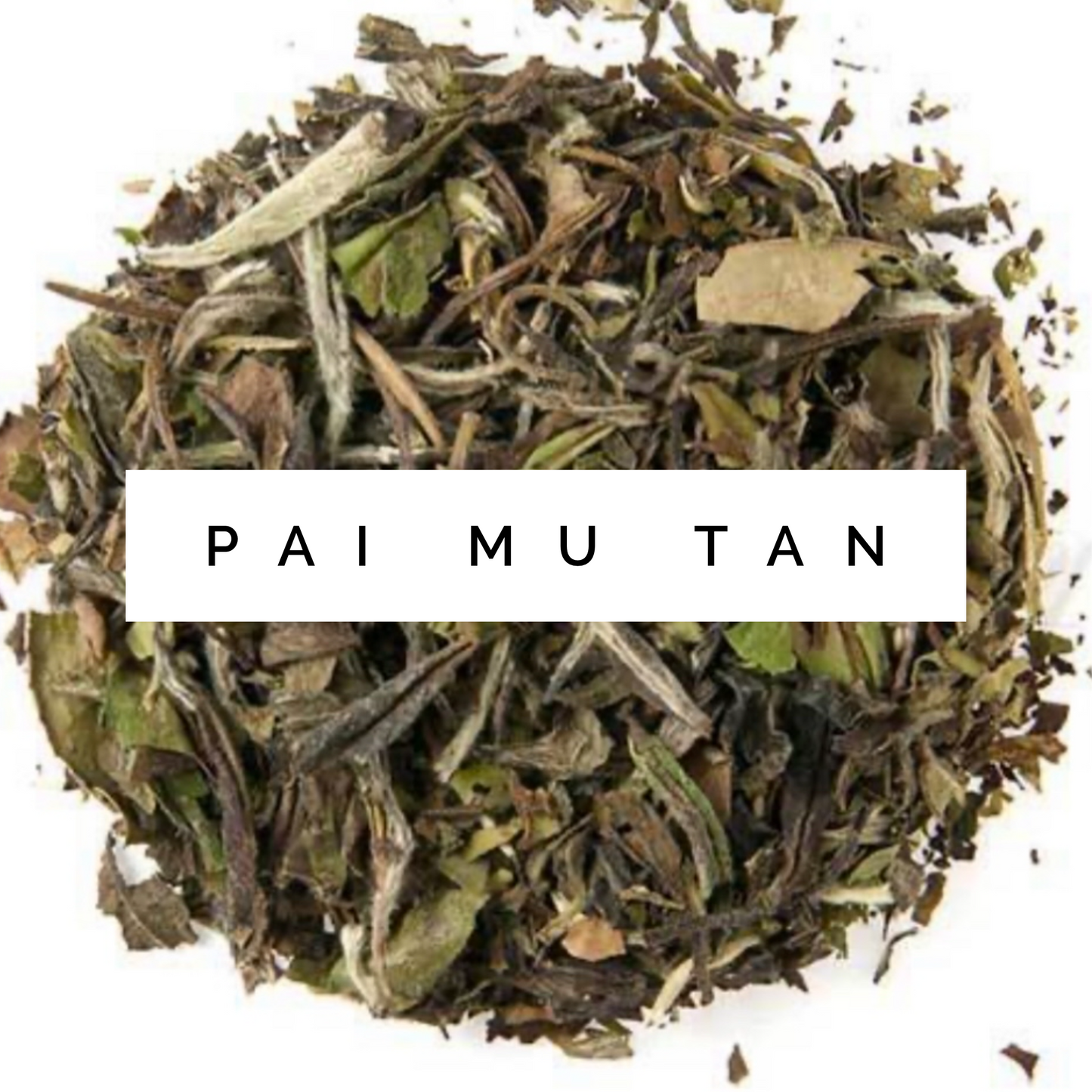 Pai Mu Tan White Tea
