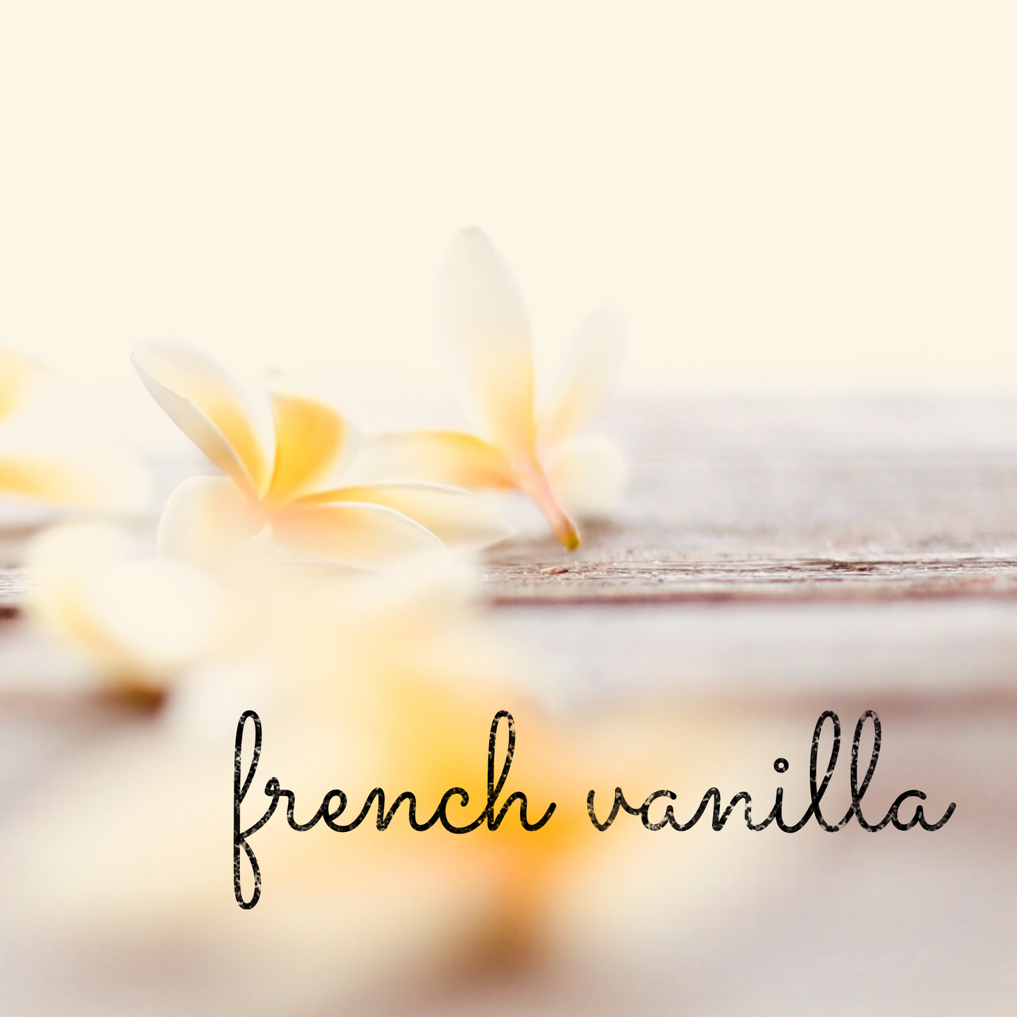 French Vanilla