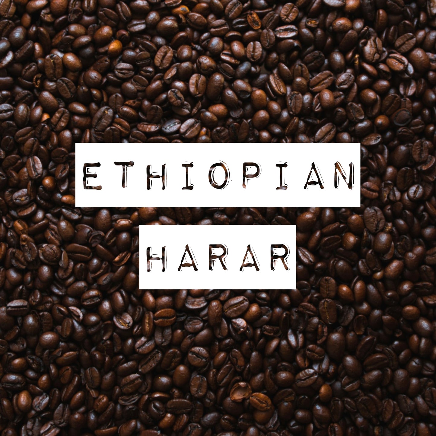 Ethiopian Harar