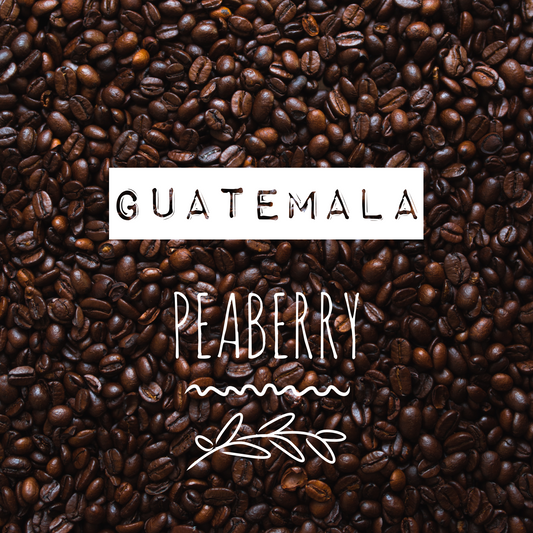 Guatemala Peaberry