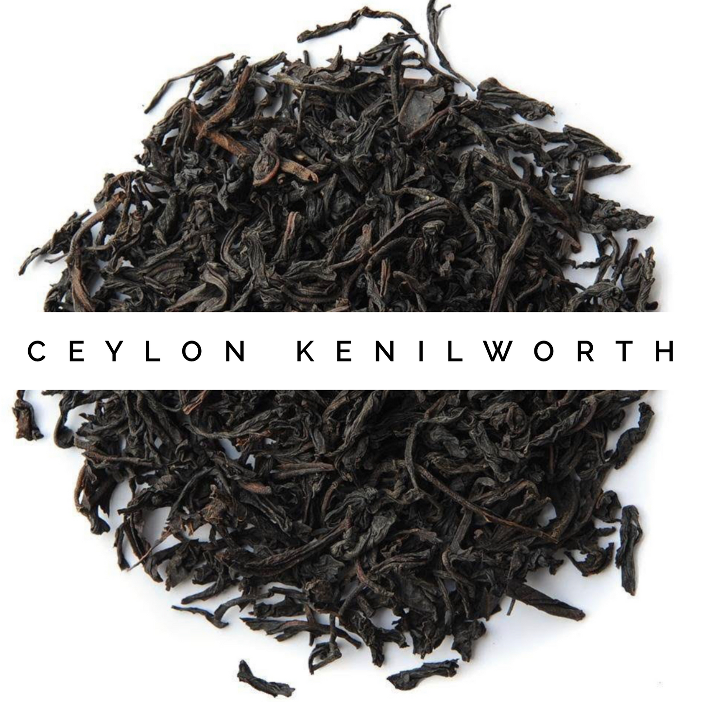 Ceylon Kennilworth