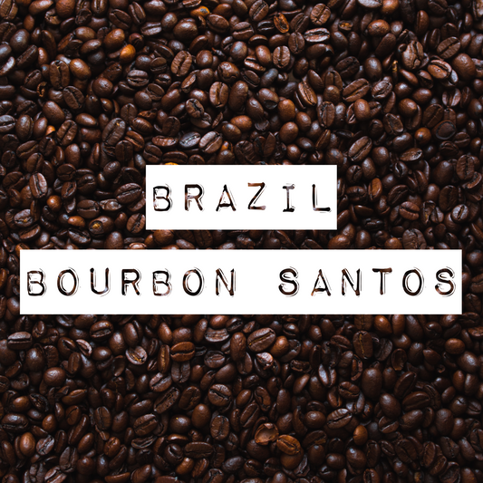 Brazil Bourbon Santos