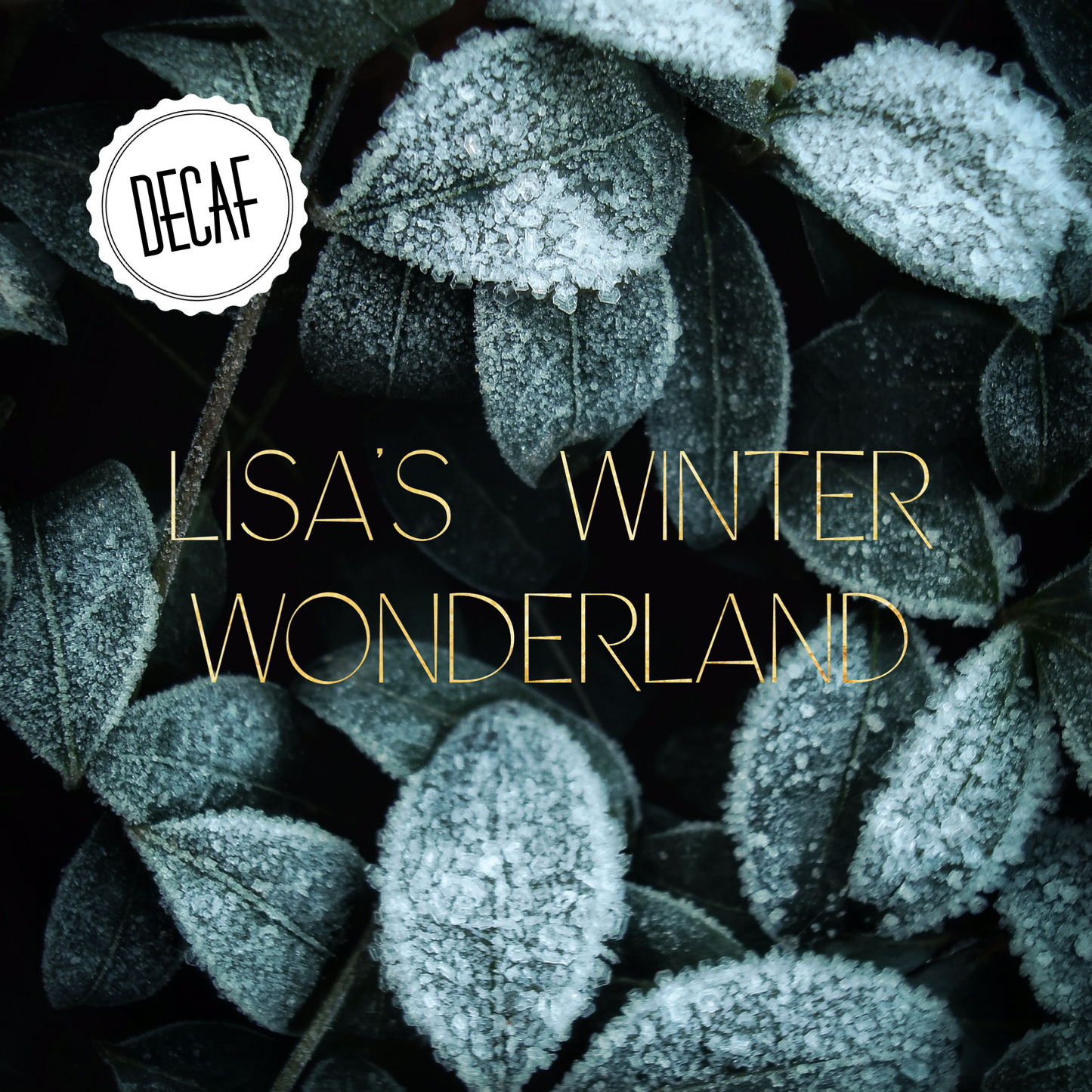 Lisa’s Winter Wonderland Decaf