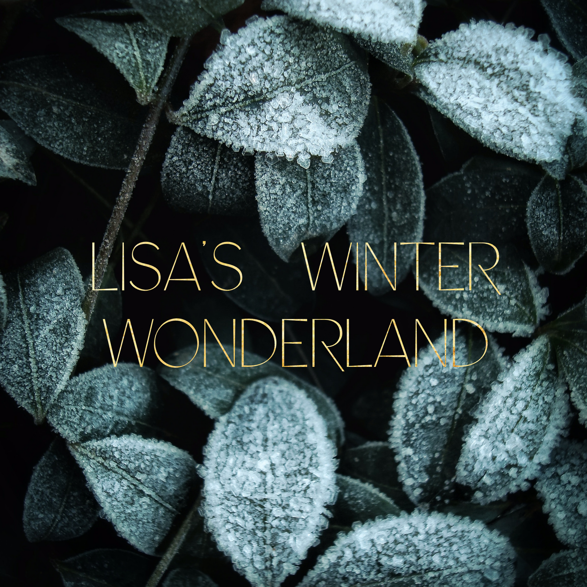 Lisa's Winter Wonderland – Greencastle Coffee Roasters