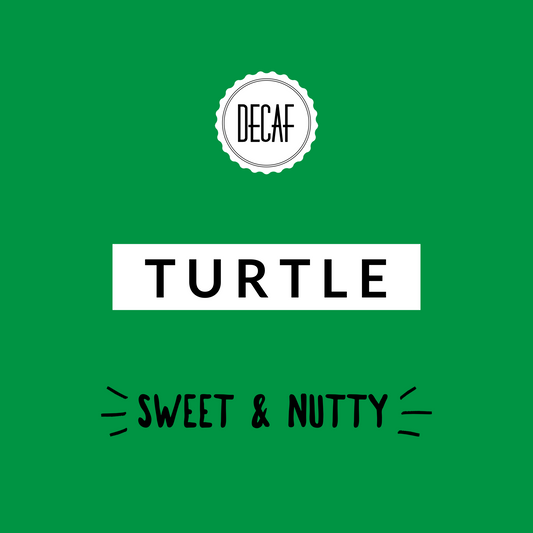 Turtle Decaf