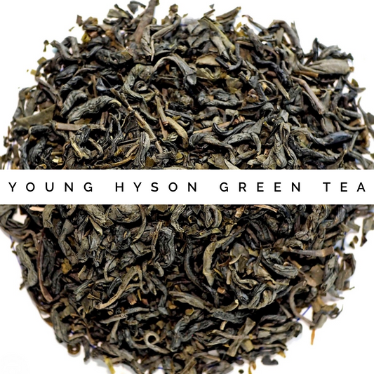 Young Hyson Green Tea
