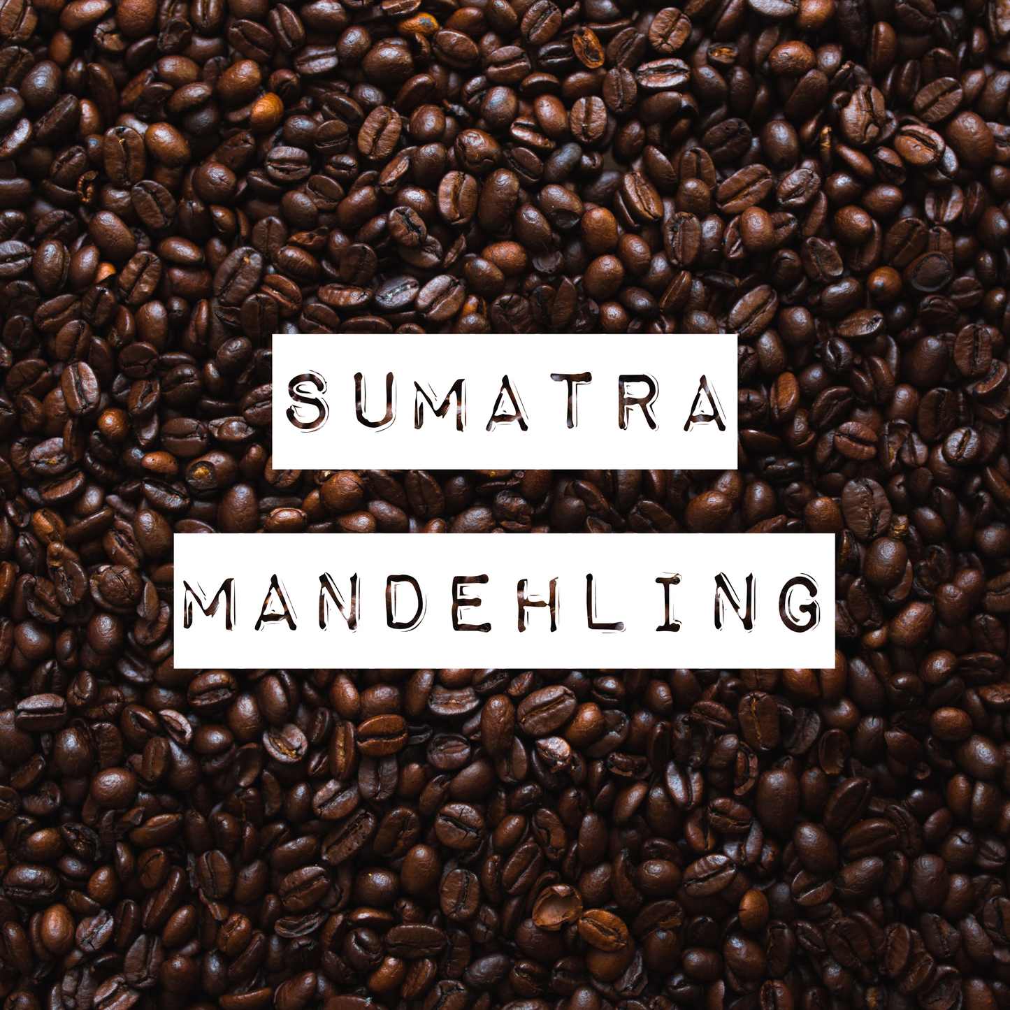 Sumatra Mandehling