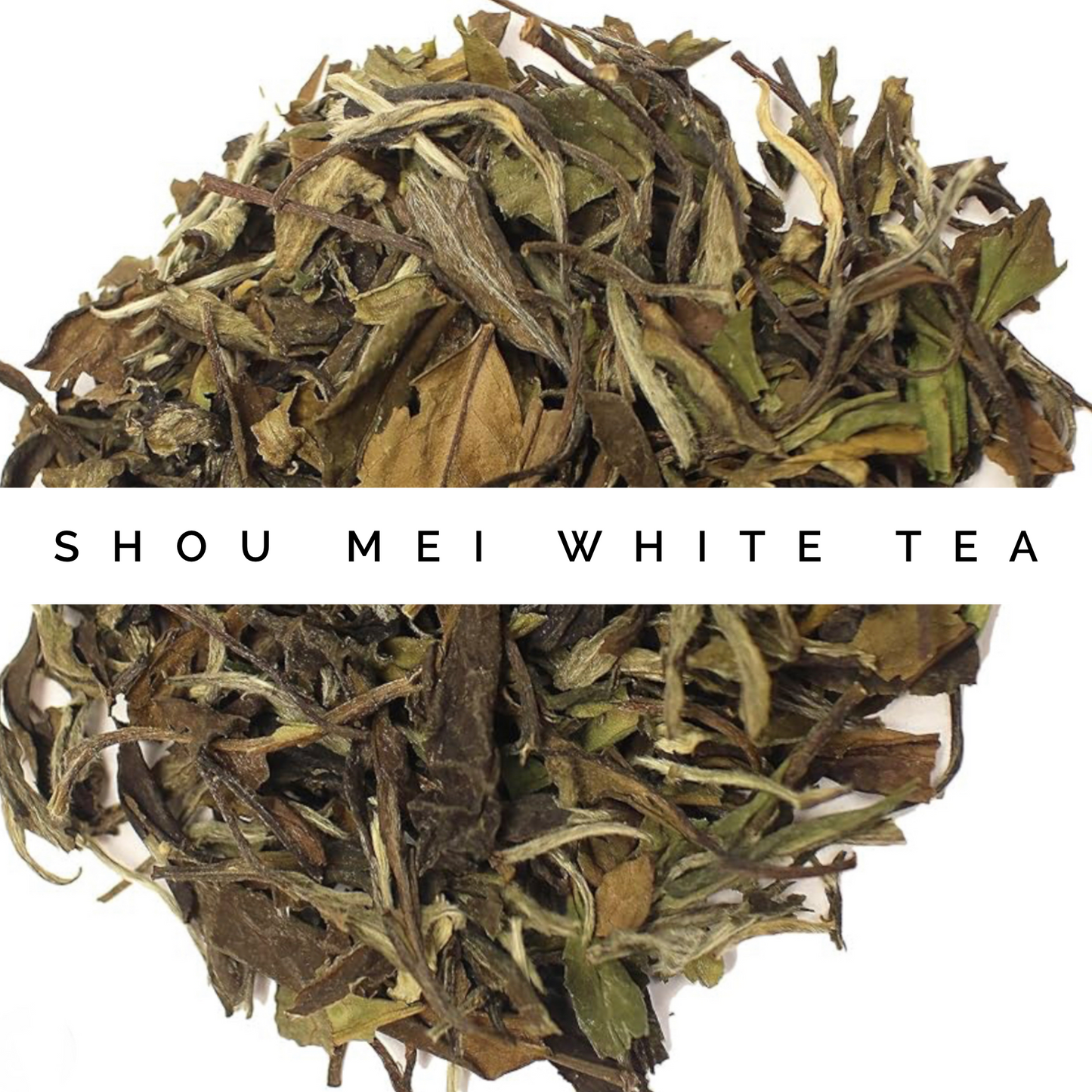 Shou Mei White Tea