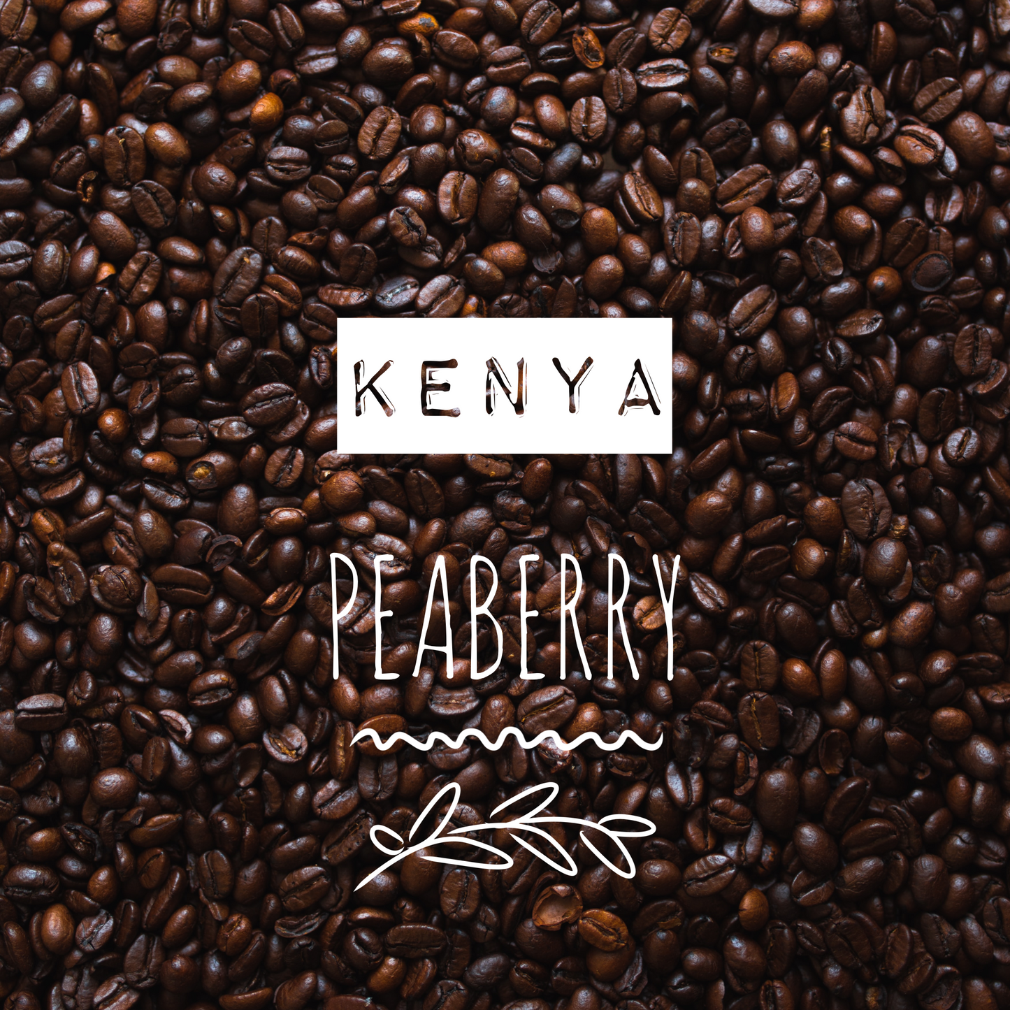 Kenya Peaberry