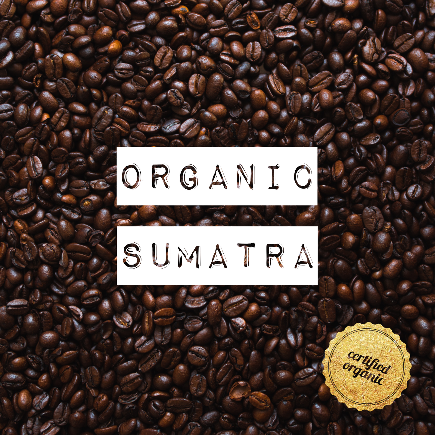 Organic Sumatra