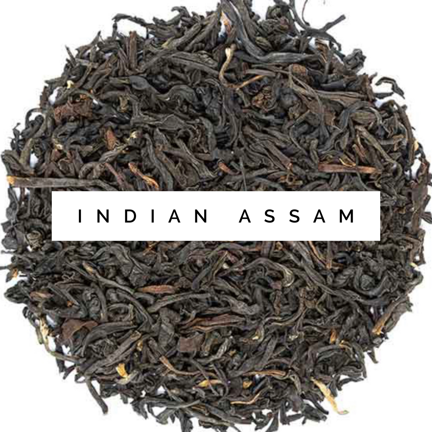Indian Assam